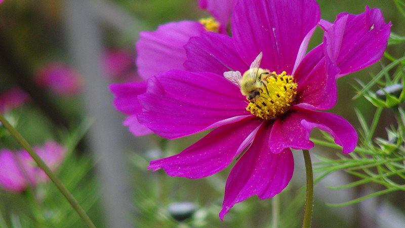 DSC00933_副本.jpg