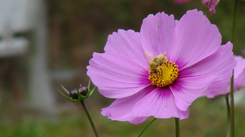 DSC00934_副本.jpg