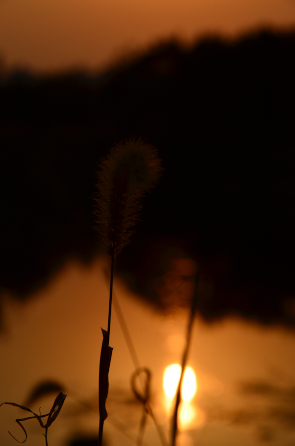 DSC_0810.jpg
