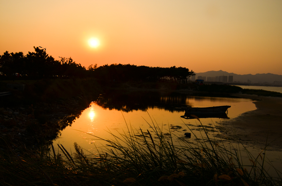 DSC_0826.jpg