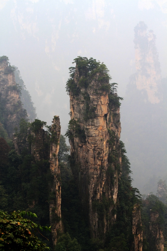 湖南长沙行 736.jpg