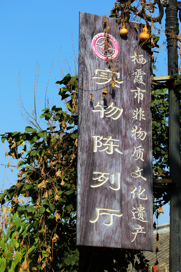 IMGM1242.jpg