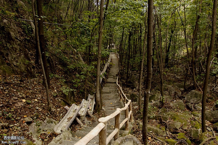 _MG_6646.jpg
