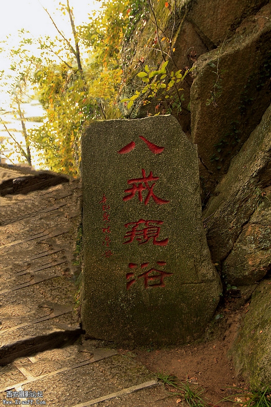 _MG_6868.jpg