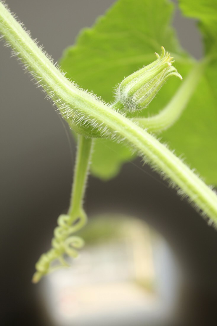 IMG_4133_调整大小.jpg