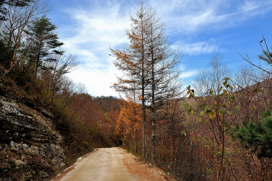 DSC_5400.jpg