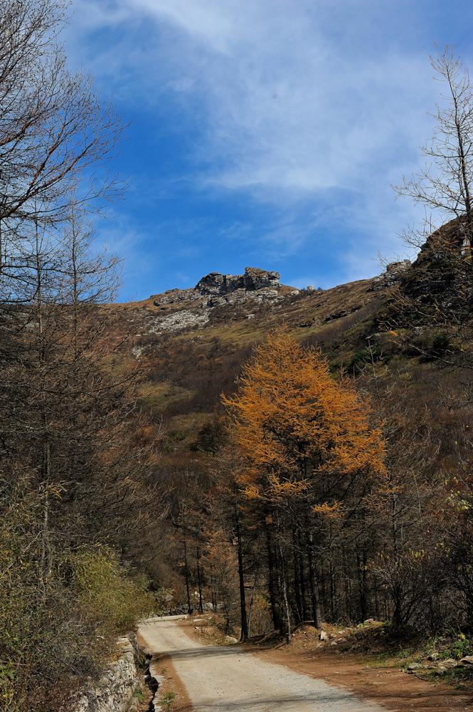 DSC_5407.jpg