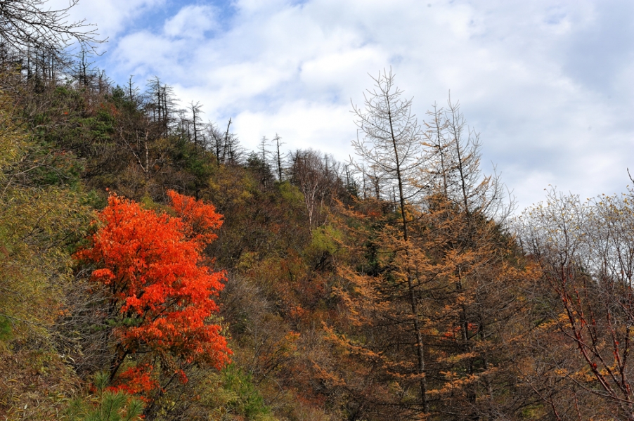 DSC_5600.jpg