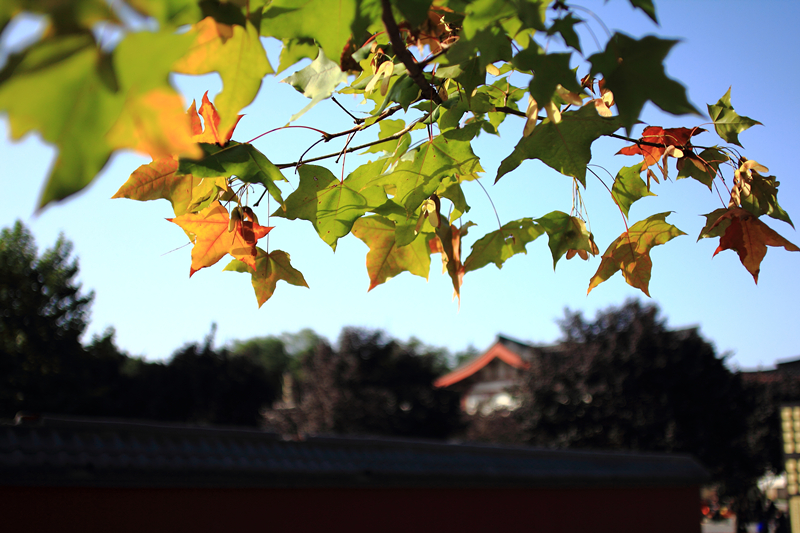 IMG_6212_副本.jpg