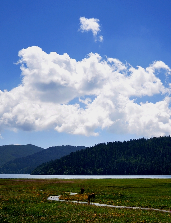 DSC_0779.jpg