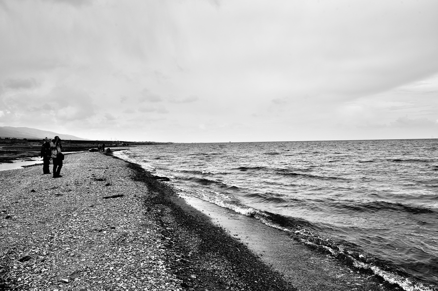 HOU_0440.jpg