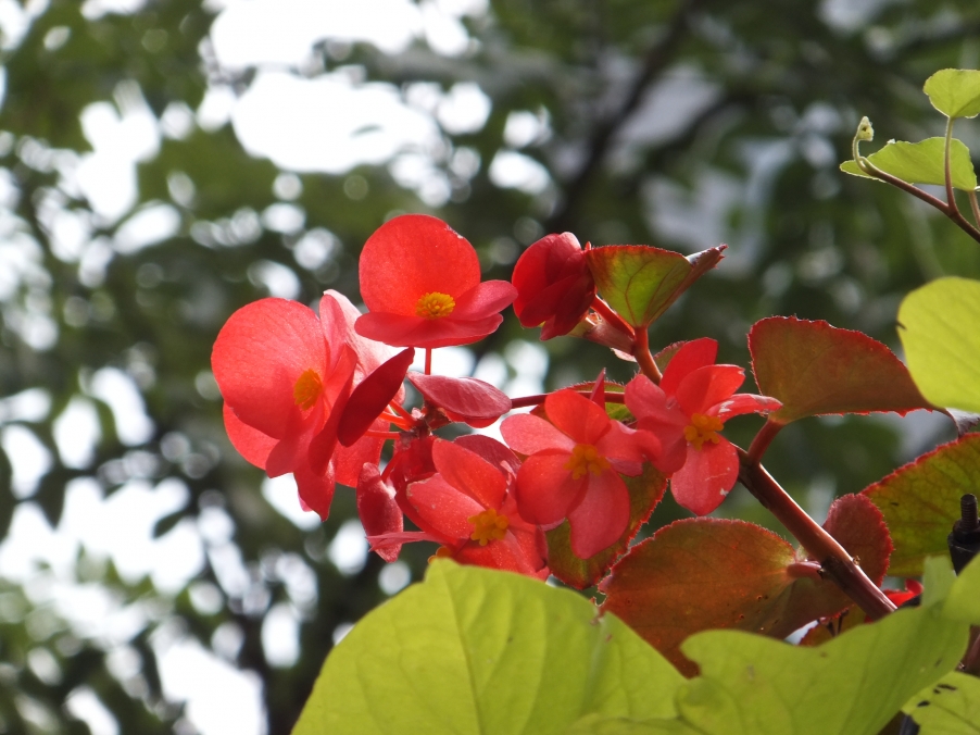 DSCF5144.JPG