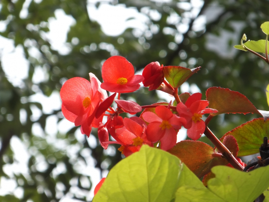 DSCF5149.JPG