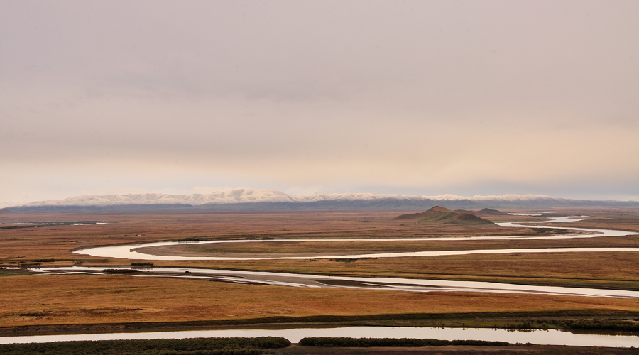 DSC_0133_02900x500.jpg