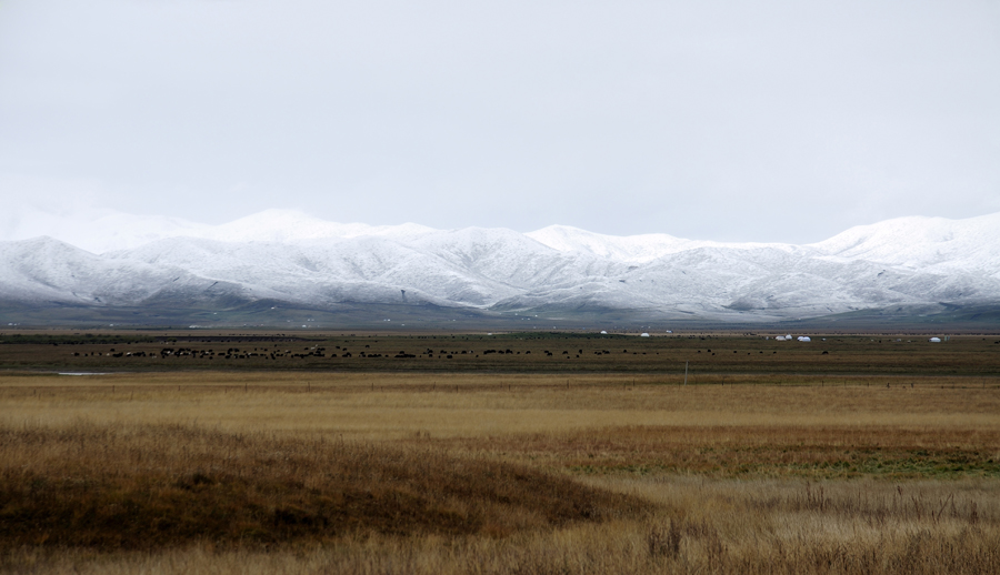 DSC_0169900x600.jpg