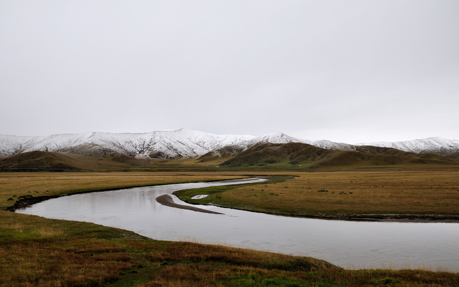 DSC_0308900x600.jpg