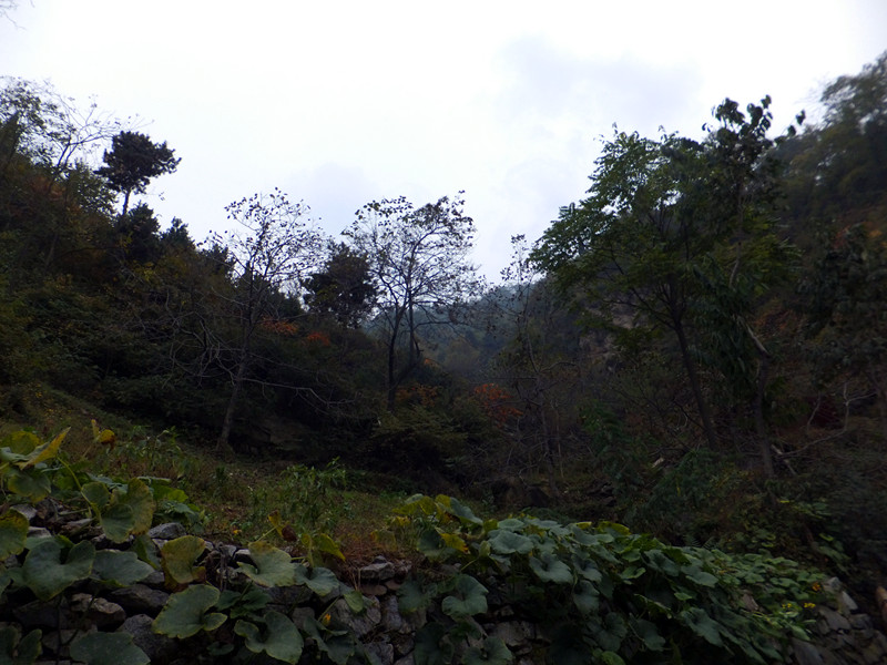 DSCF5760_副本.jpg