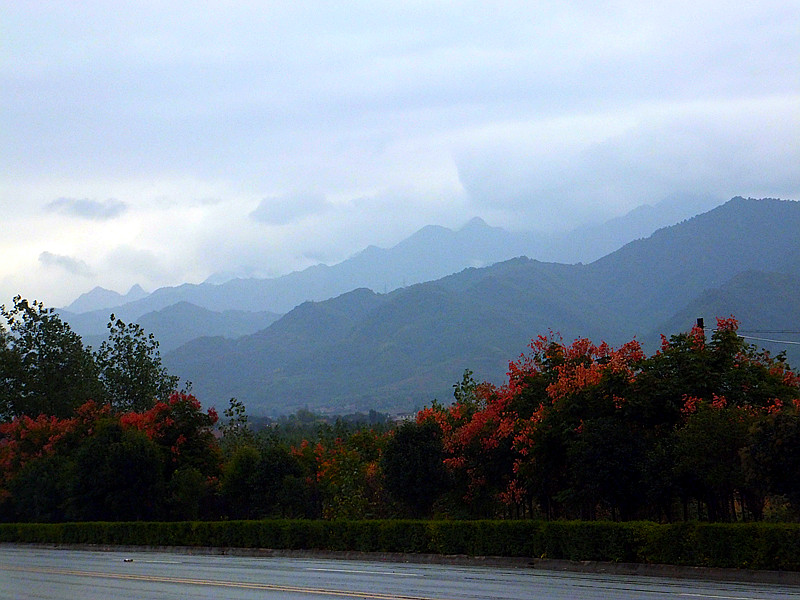 DSCF5893_副本.jpg