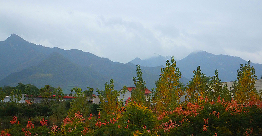DSCF5884_副本.jpg