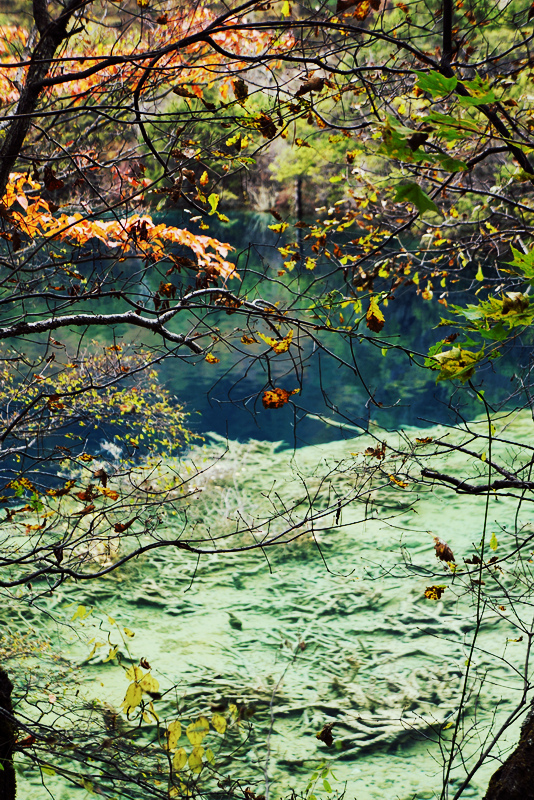 DSC01261_副本.jpg