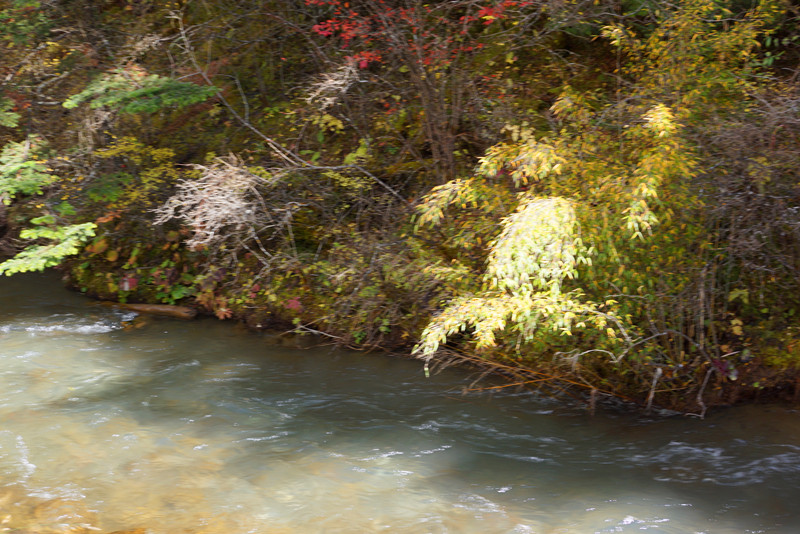 DSC01030_副本.jpg