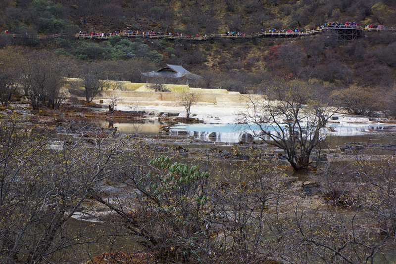 DSC01100_副本.jpg