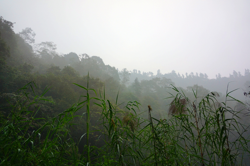 DSC02581_副本.jpg