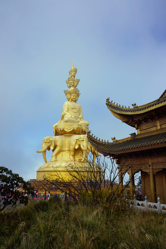 DSC02465_副本.jpg