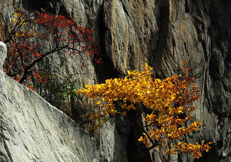 DSC_0073.jpg