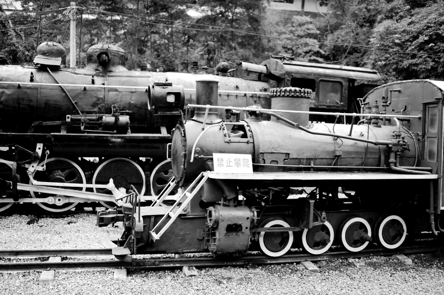 DSC_0526.jpg