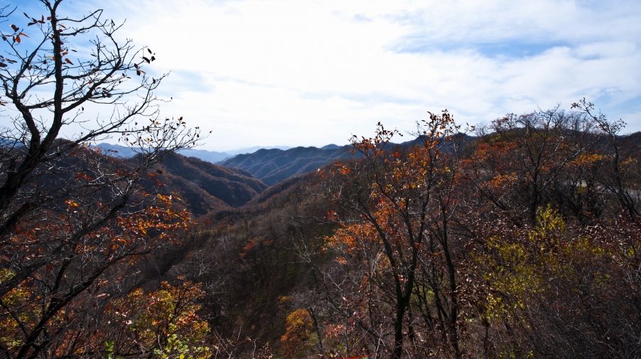 DSC_3693.JPG