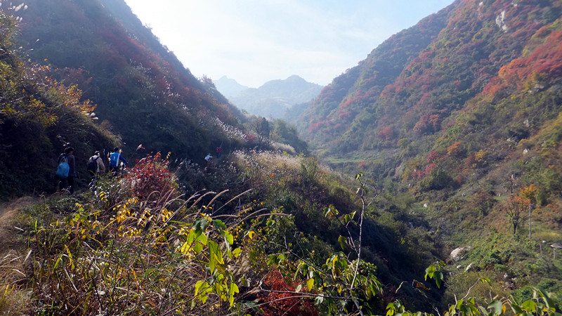 dscf6973_副本.jpg