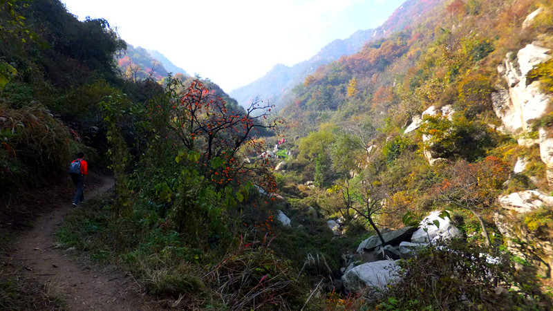 dscf7004_副本.jpg