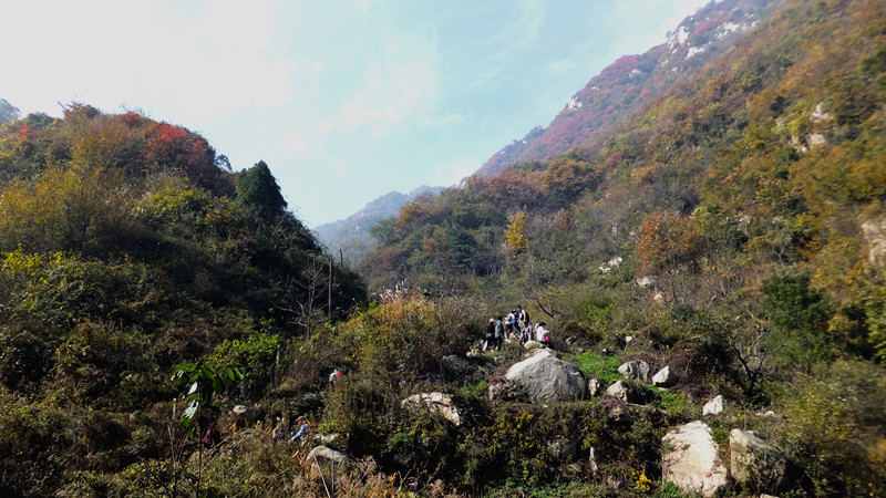 dscf7007_副本.jpg