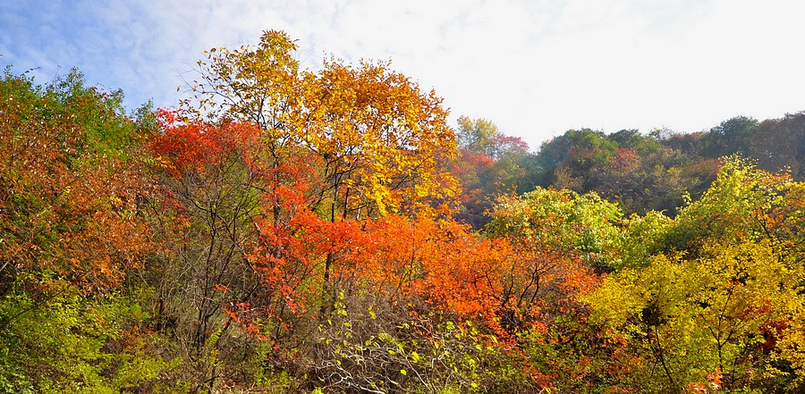 DSC_0323.jpg