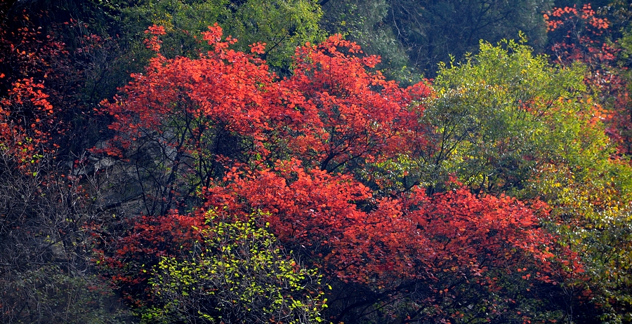 DSC_0332.jpg