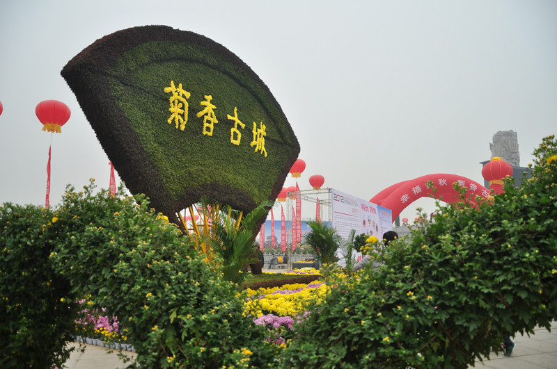 照片 035.jpg