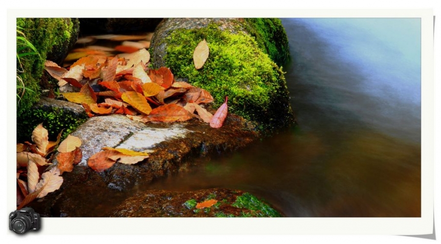 nEO_IMG__MG_7969.jpg