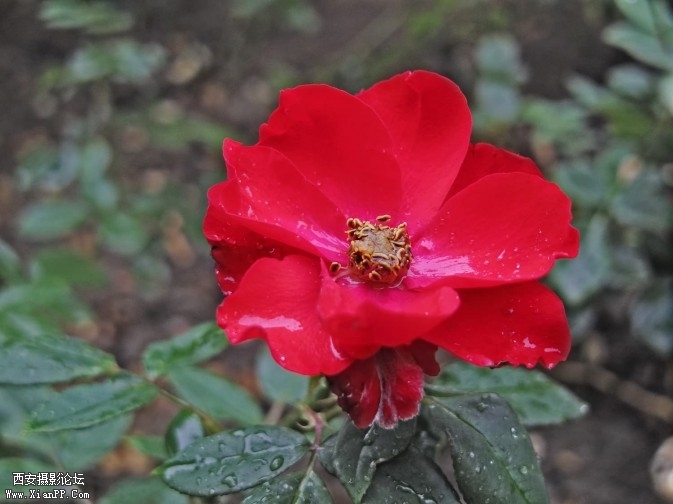 image038-673x504.jpg