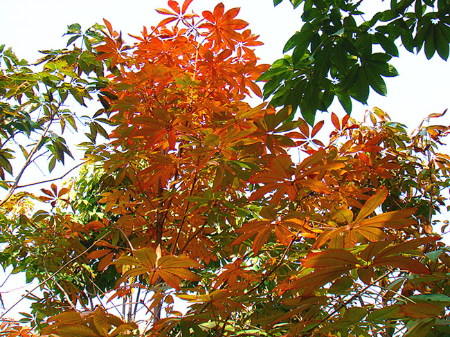DSC09198_副本.jpg
