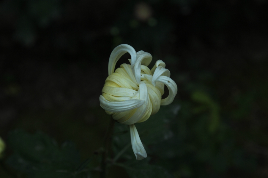 照片 066.jpg