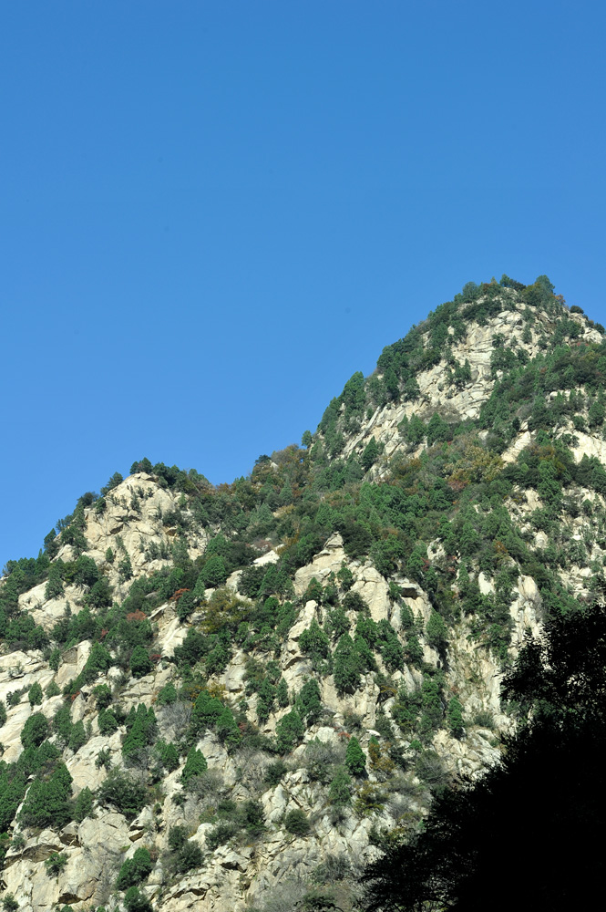 DSC_8889.JPG