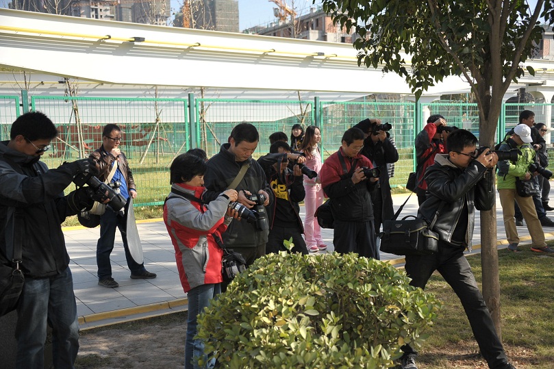 DSC_3193.JPG