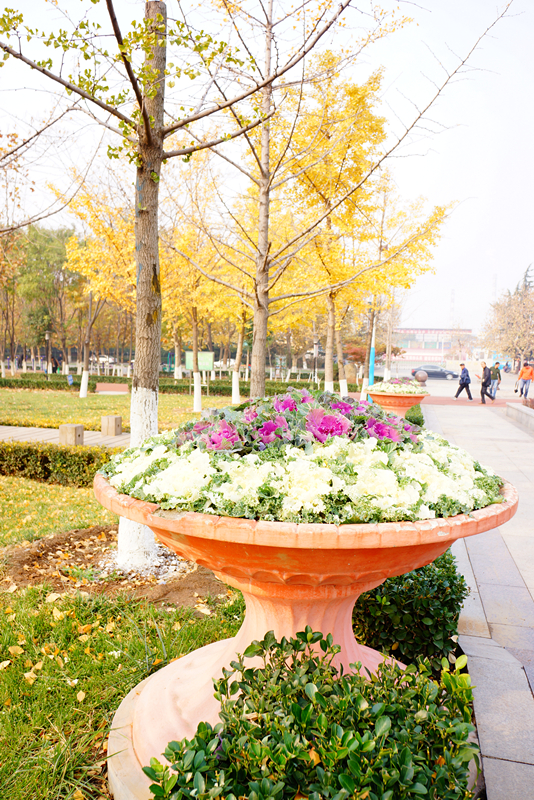 DSC02838_副本.jpg