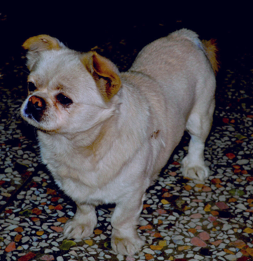 DSC_0055.jpg