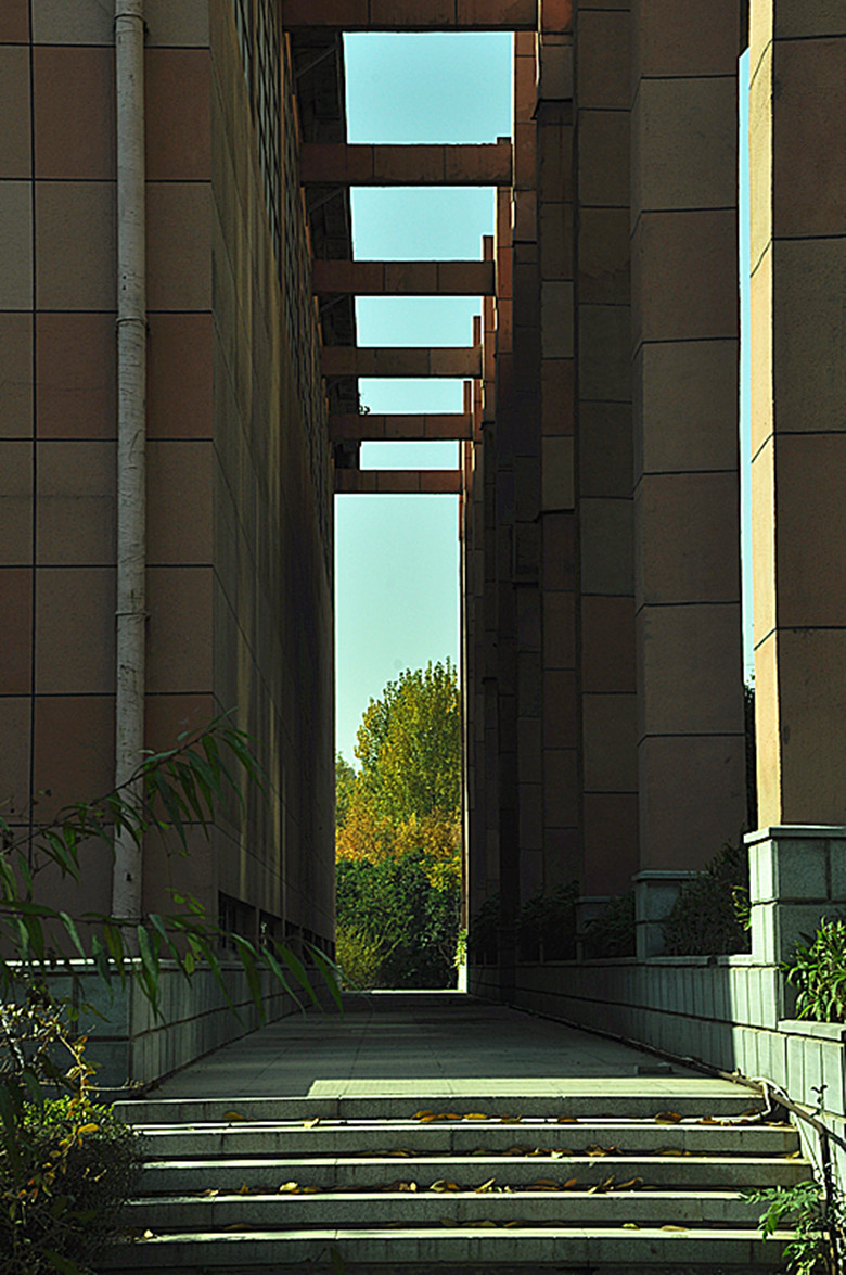 DSC_1874_副本.jpg