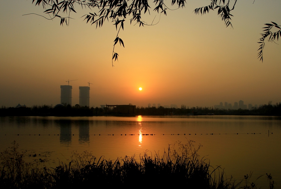 夕阳下4.jpg