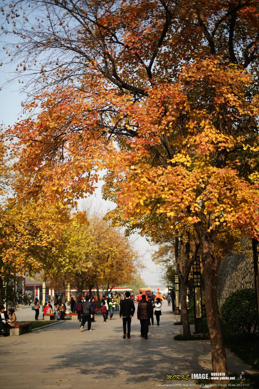 1G8A5812a.jpg