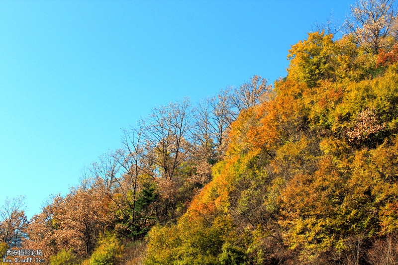 IMG_7718_副本.jpg