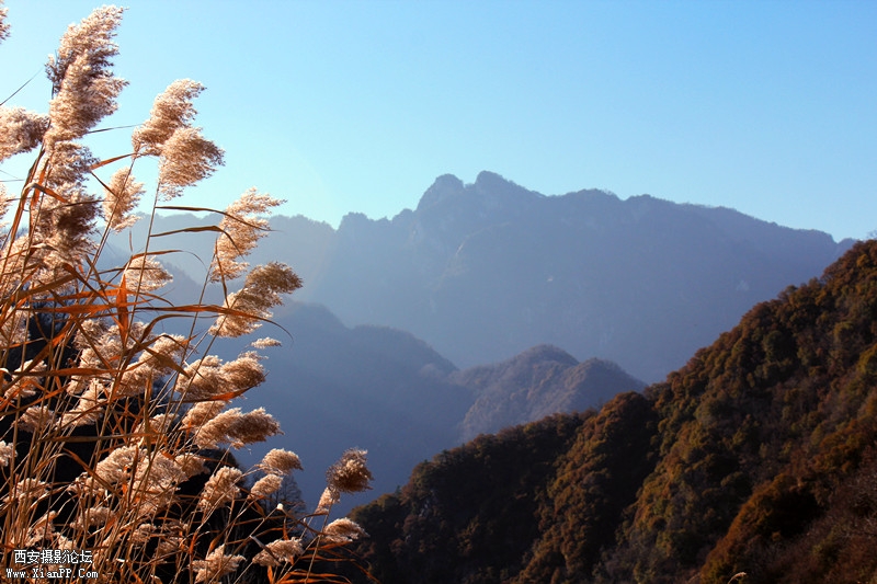 IMG_8052_副本.jpg